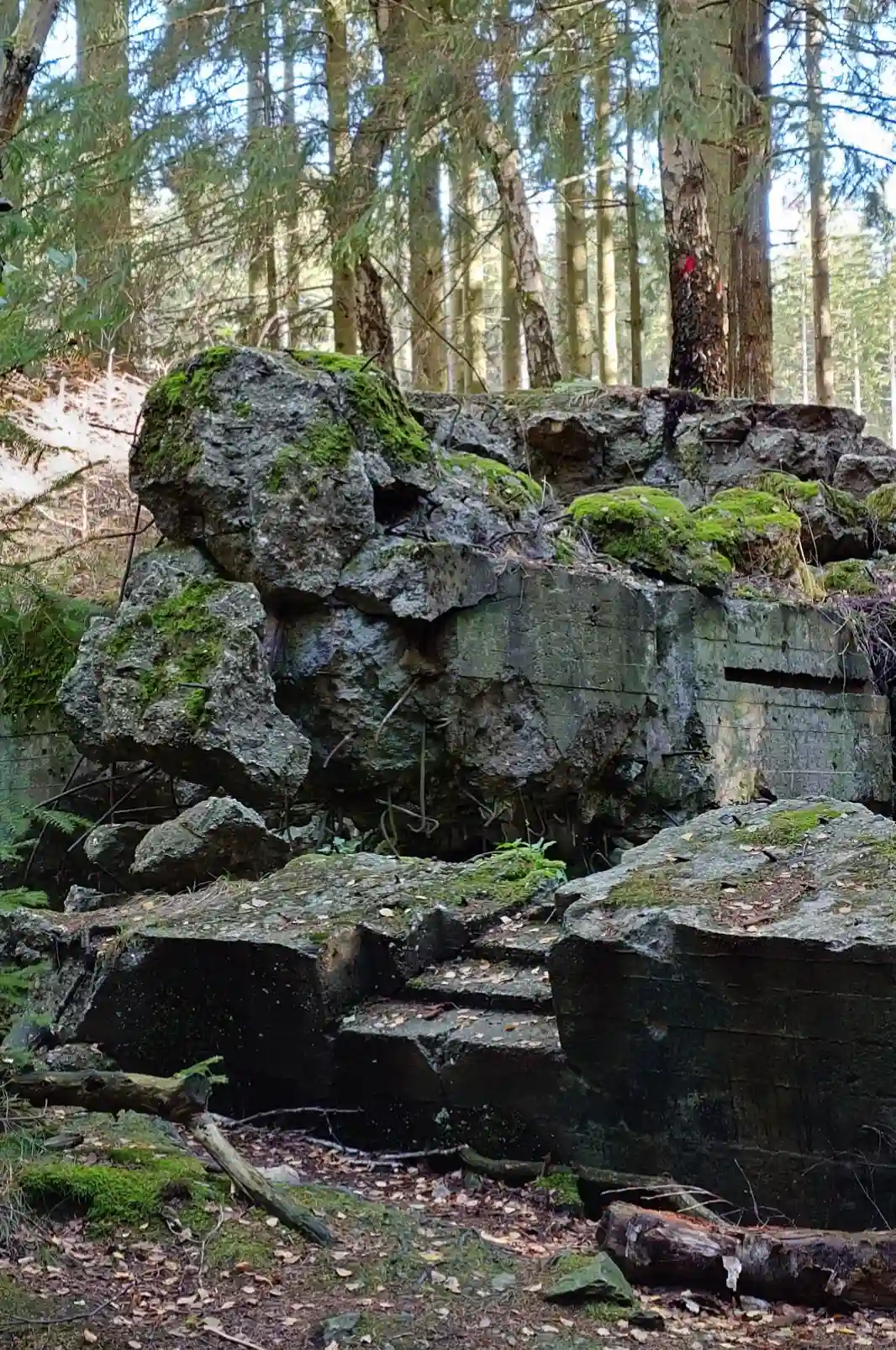 Image: Camouflaged bunker among the rocks.